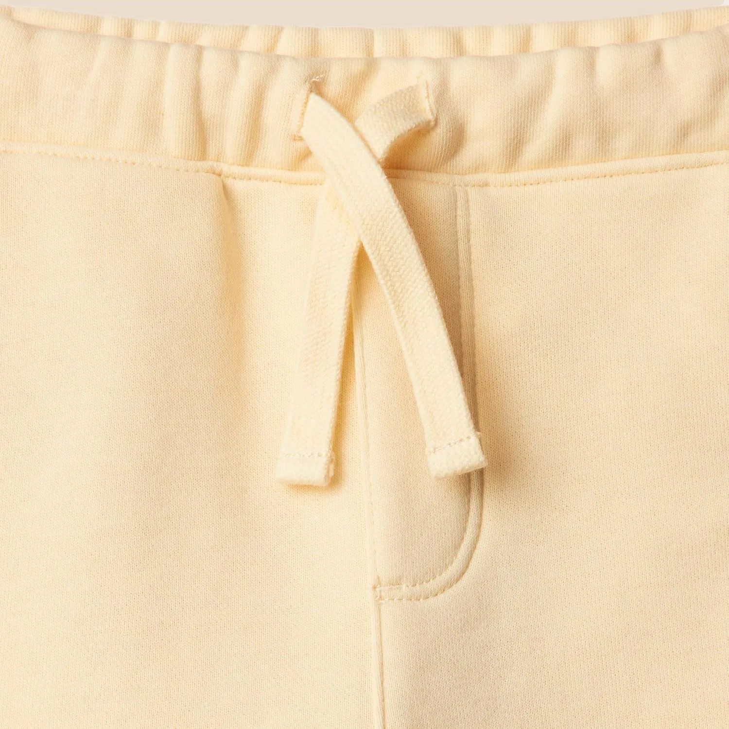 Amazon Essentials x Sofia Grainge Toddlers and Baby Boys' Pull On Knit Shorts, Pack of 2